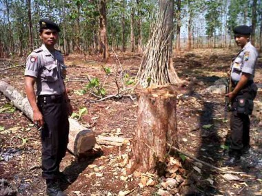 Minimalisir Penjarahan Polisi Dikerahkan Jaga Hutan